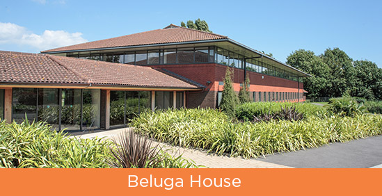 Beluga House button